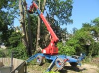 20 metre high Cherry Picker for tree top work